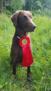 Active Delfi vom Palmblick