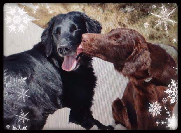 FB_IMG_1450813592487