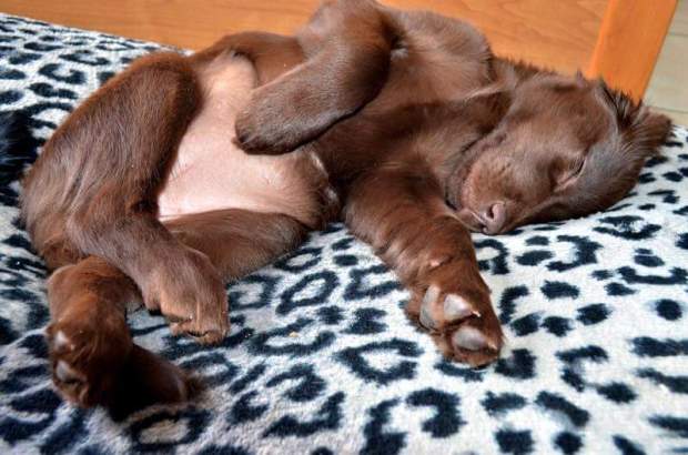 FB_IMG_1454069456965