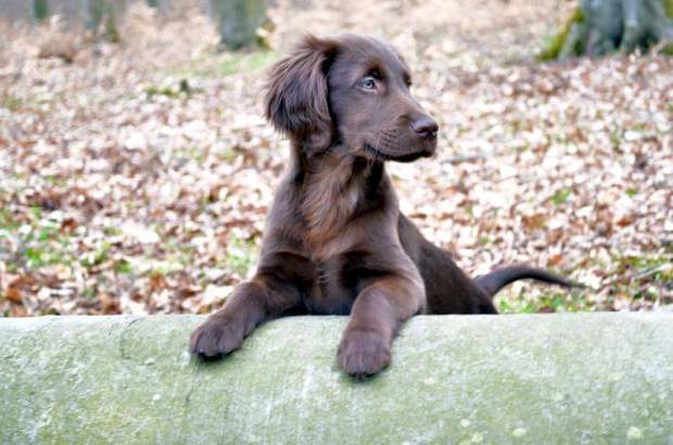 FB_IMG_1454069470530