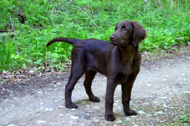 FB_IMG_1454069493333