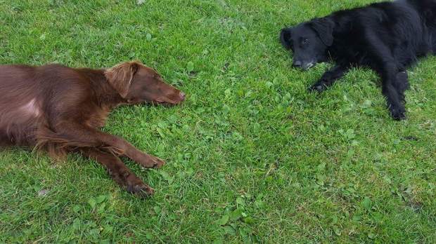 fb_img_1474177055962