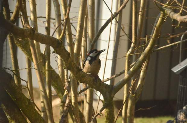 fb_img_1478895928673