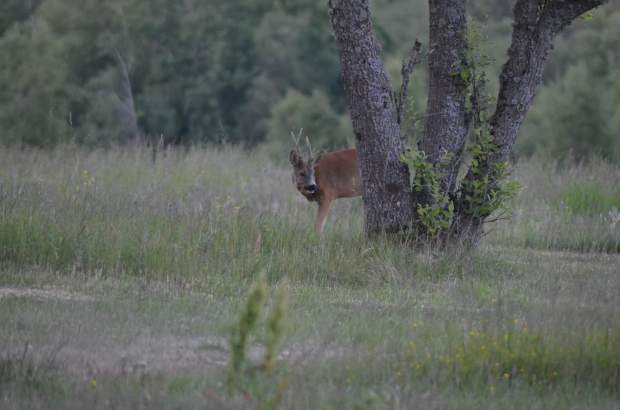 fb_img_1478895951331