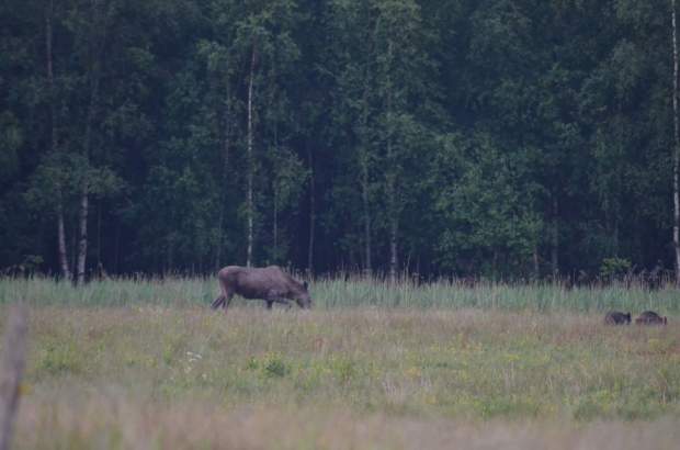 fb_img_1478895974404