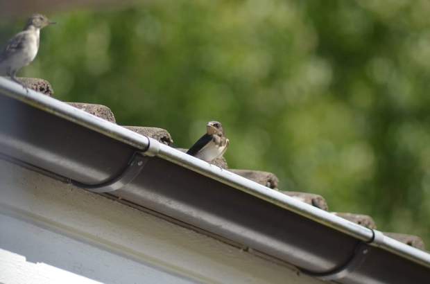 fb_img_1478896009893