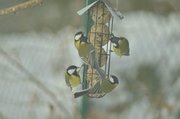 fb_img_1478896042045