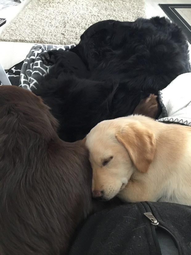 EB92B54B-9A35-4D5F-B72A-259D2377347F