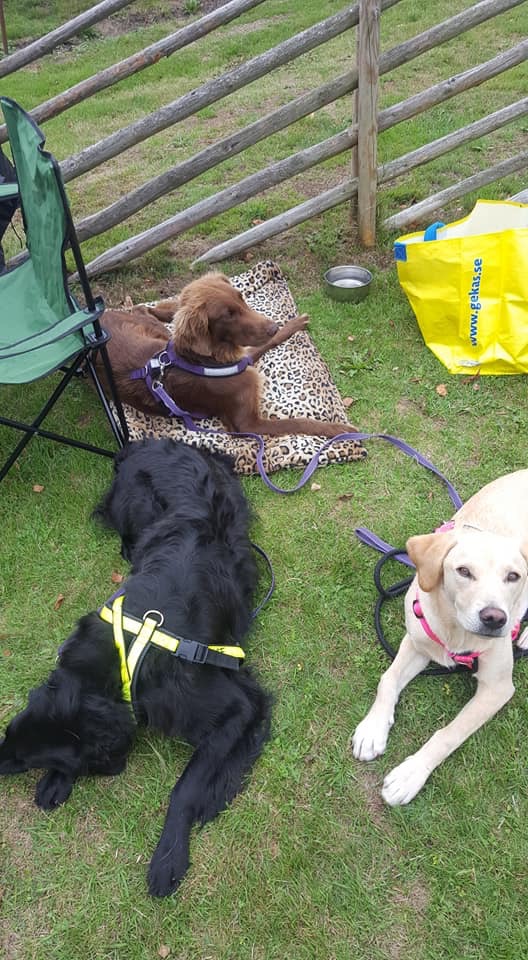 9E06A04F-4AAD-4CE9-B8F4-7B712BFAB693