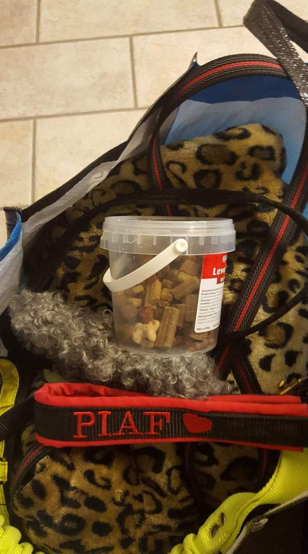 FB_IMG_1541666222852