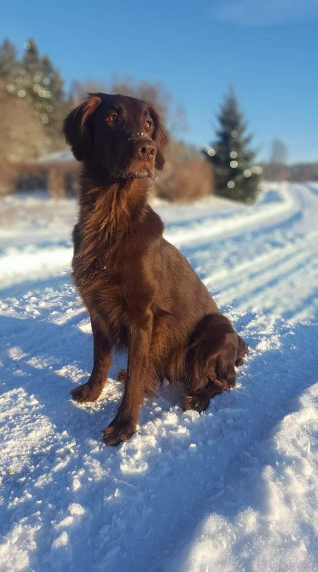 fb_img_1548837808678