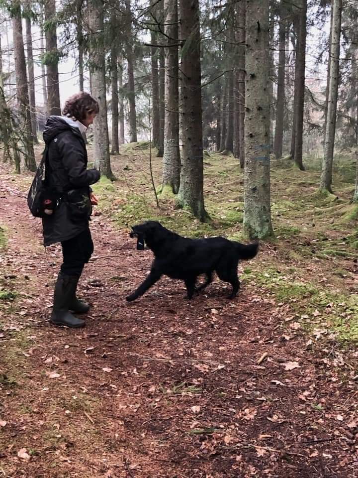 FB_IMG_1551025860323