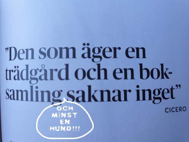 FB_IMG_1561750909819