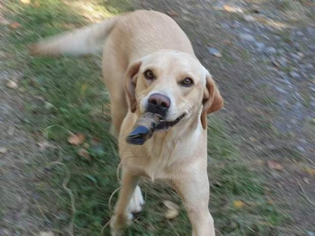 FB_IMG_1568827720067