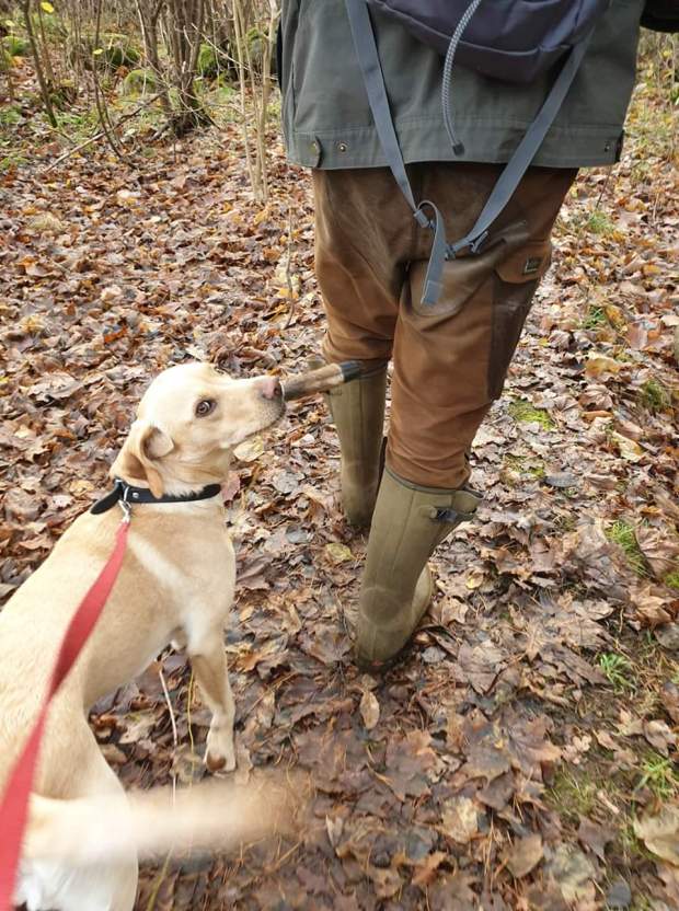 FB_IMG_1572634231292