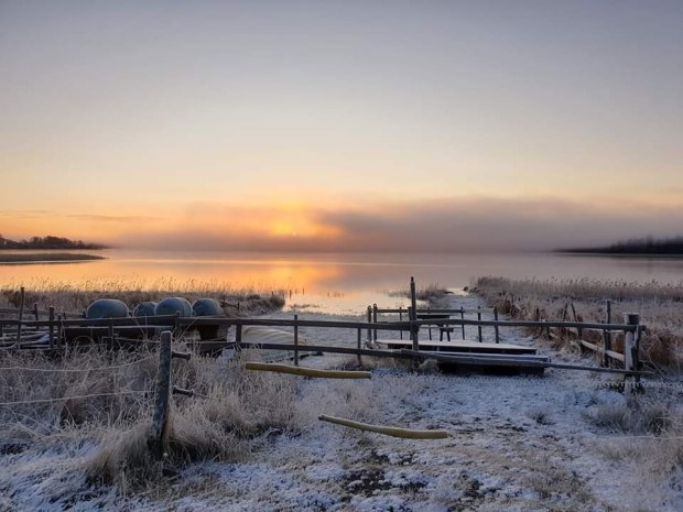 IMG_20191130_180349_673