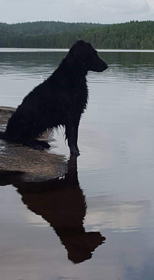 FB_IMG_1564982503359