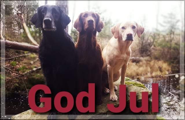 FB_IMG_1577122795031