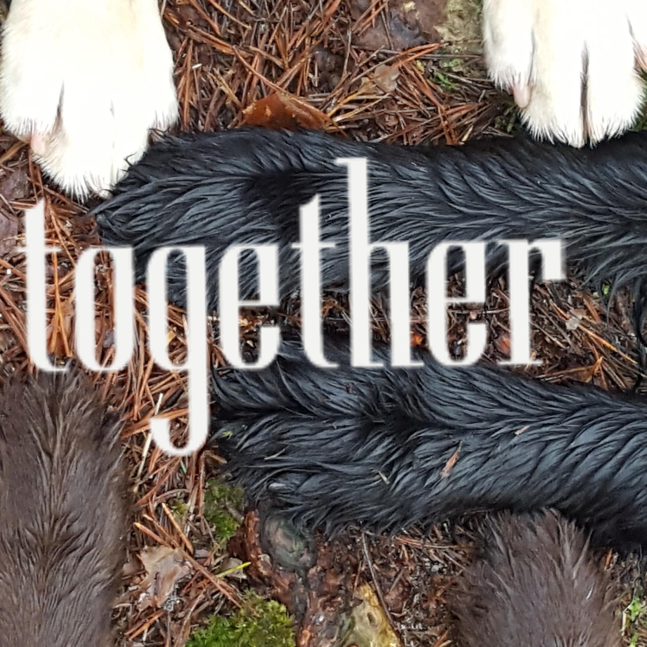 IMG_20191230_141216_324