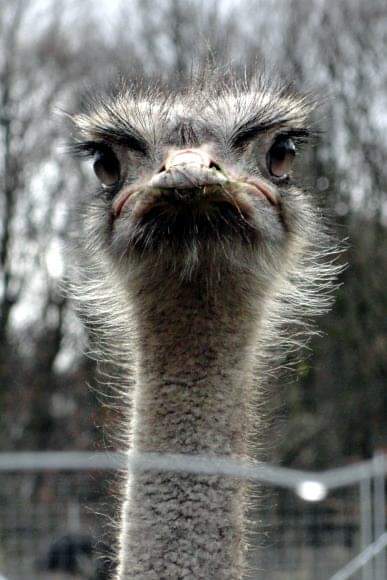 FB_IMG_1579161164553