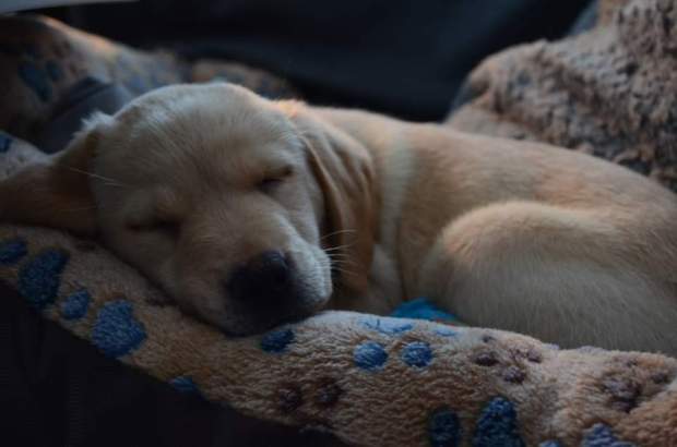 FB_IMG_1581660219059