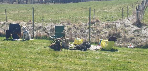 FB_IMG_1587976909026