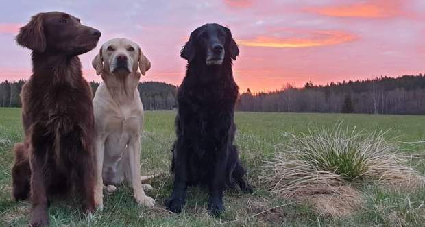 FB_IMG_1588181474128