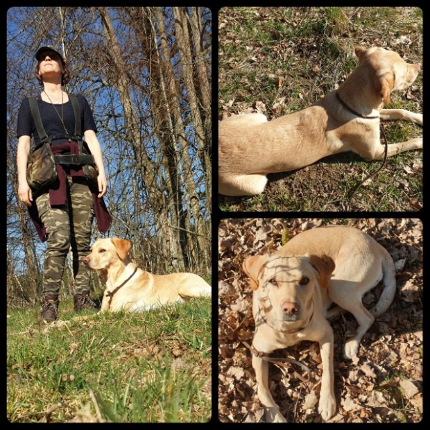 pixlr_20200406184921698