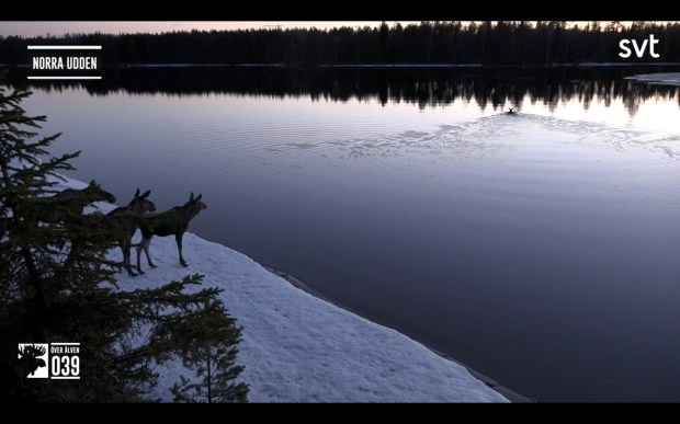 Screenshot_20200507-200954_SVT Play