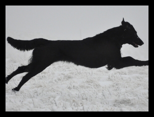 Screenshot_20200519-112148_Samsung Internet