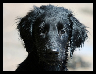 Screenshot_20200519-112306_Samsung Internet