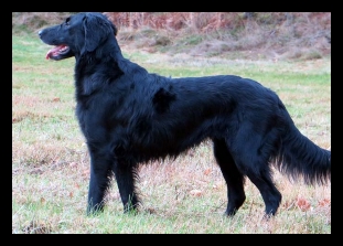 Screenshot_20200519-113023_Samsung Internet