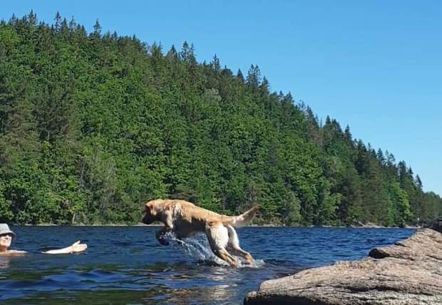 FB_IMG_1592369462838