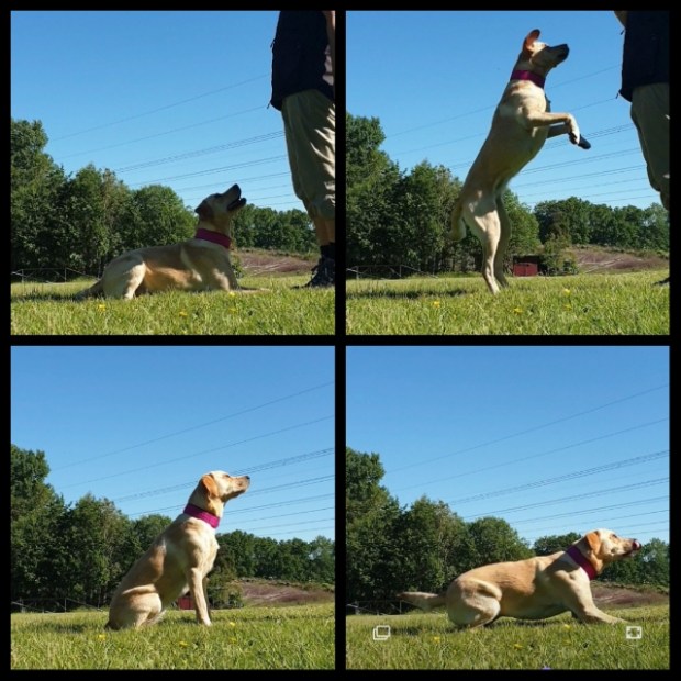 pixlr_20200614113550727