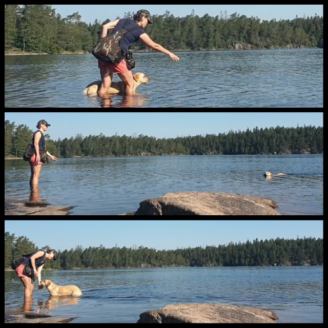 pixlr_20200627172903097