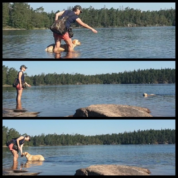 pixlr_20200627172903097